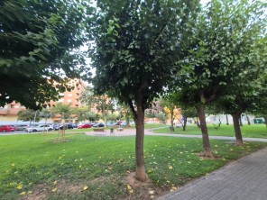 Vistas